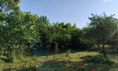 Купить участок, Чемери 1, Вишнёвая ул, 27, деревня Чемери 1, Речицкий сельсовет, Каменецкий район, Брестская область, 50 соток. Фото 7