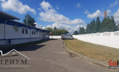 Продажа склада, Березино, Победы ул., 49/А, 782.1 кв.м.. Фото 4