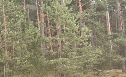 Купить дом, Мельница-Сорочье, 13 соток. Фото 21