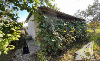 Купить дачу, Брест, Мотыкальский с/с, 5.59 соток. Фото 21