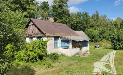  1-этаж.(38.2 м2), Стриганец(Ракитницкий с/с)