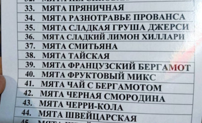 Купить дом в деревне, Нефтяник-3 ОАО Нафтан, 10.77 соток. Фото 47
