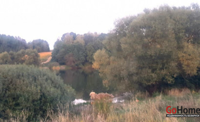 Купить дом, Дуброва, Веселый пер., 6, 21.2 соток. Фото 28