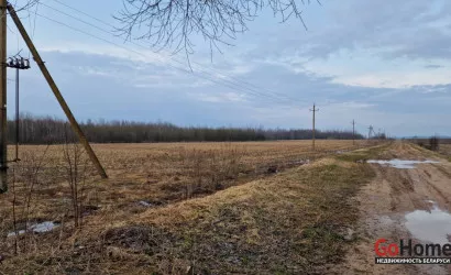 Заболотье(142-1)