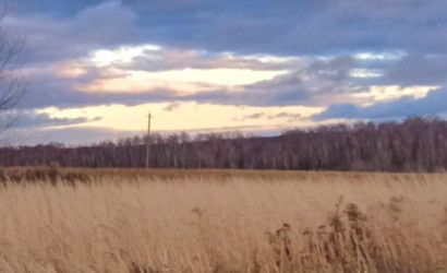 Купить дом, Козлы, 15 соток. Фото 6