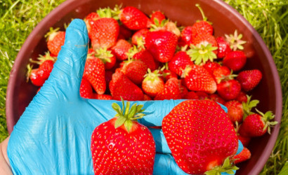 Купить дом в деревне, Лешница, Центральная , 25 соток. Фото 19