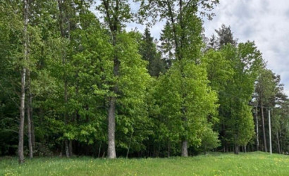 Купить дом, Бровки, Центральный пер., 57 соток. Фото 5