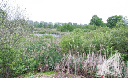 Купить дом, Брест, Козловичи, 12.72 соток. Фото 42