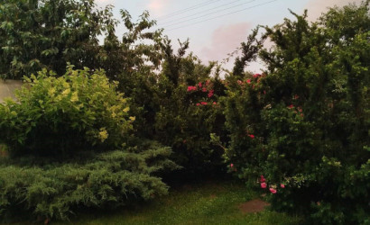 Купить дачу, СТ Связист-Плюс, 6.07 соток. Фото 12