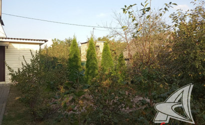 Купить дачу, Брест, Тельминский с/с, 3.91 соток. Фото 1