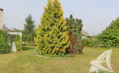 Купить дом, Леплевка, Домачевский с/с, 25 соток. Фото 29