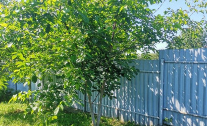Купить дом, Заямочное, Центральная ул., 14.67 соток. Фото 35