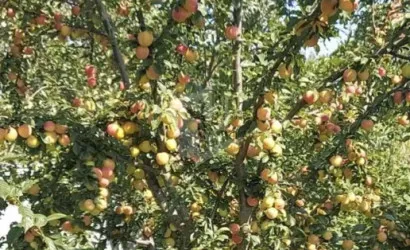  2-этаж.(120 м2), Жилевщина