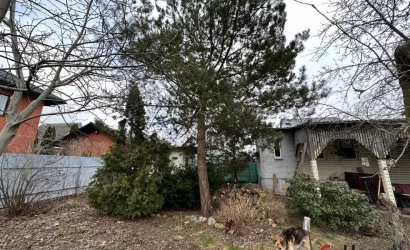  1-этаж.(50 м2), Каменица-Жировецкая(Яблонька)