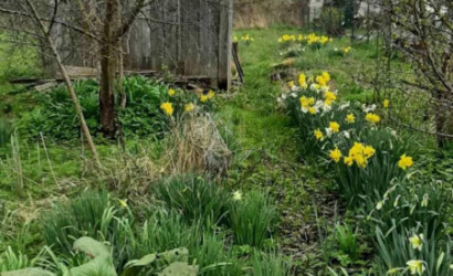 Купить участок, Горки-1, 10 соток. Фото 6