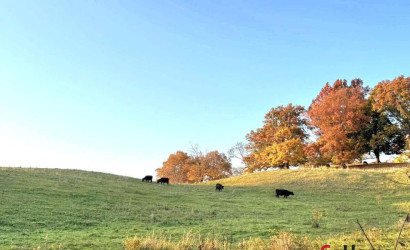 Купить дом в деревне, Струсто, 7.14 соток. Фото 7