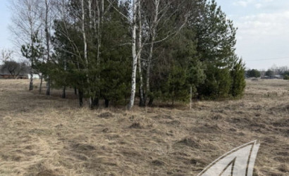 Купить участок, Дубица, Домачевский с/с, 24.9 соток. Фото 7