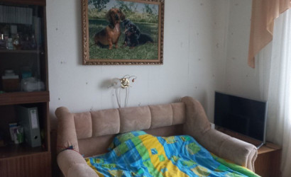 Купить дом, Бигосово, Садовая 12, 25 соток. Фото 12