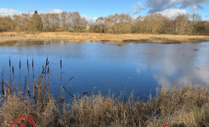 Купить участок, Приселки, 25 соток. Фото 41