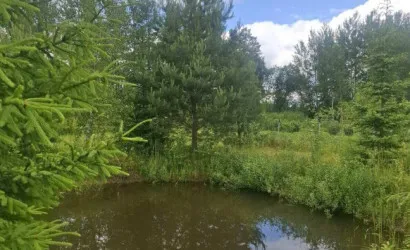  39 м2, Горные Ходцы