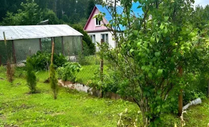  123.6 м2, Березовая роща