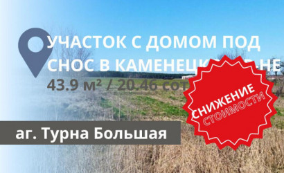 Купить дом, Турна Большая, 20.46 соток. Фото 6