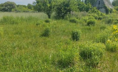 Купить участок, Уть, 10 соток. Фото 4