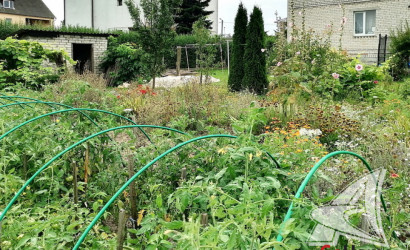 Купить дом, Черни, Чернинский с/с, 20.13 соток. Фото 22