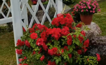 Снять на сутки коттедж, Шауры, 6. Фото 18