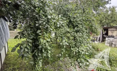  2-этаж.(100 м2), Брест(1)