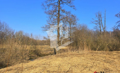 Купить участок, Старое Село, Центральная ул., 60 соток. Фото 11