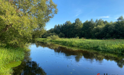 Снять на сутки агроусадьбу, Брест, Песочная 22/1. Фото 11