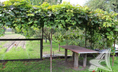 Купить дом, Залесье, Чернинский с/с, 24.93 соток. Фото 26