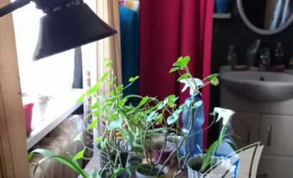 Купить дом, Орепичи, Степанковский с/с, 25 соток. Фото 29