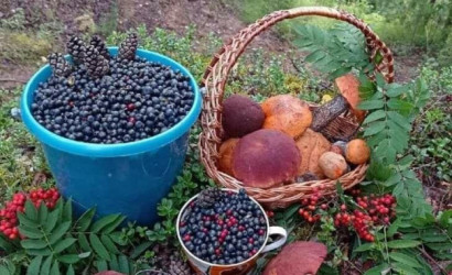 Купить участок, Телепашня, 11.6 соток. Фото 13