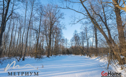 Купить дом, -Борок, Лесная ул., 22.42 соток. Фото 18