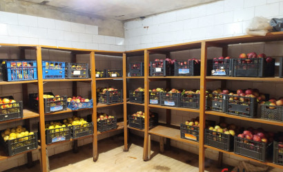 Купить коттедж, Ольгово, Садовая, 43, 24.6 соток. Фото 18