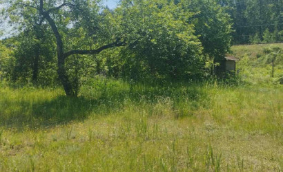 Купить участок, Уть, 10 соток. Фото 6