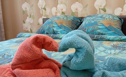 Снять 1-комнатную квартиру на сутки, Могилев, просп. Мира, д. 27А. Фото 8