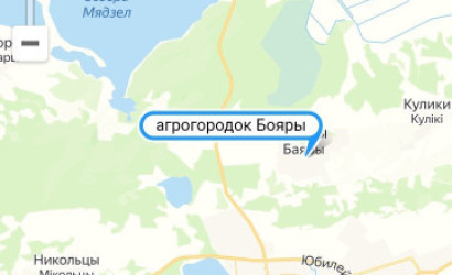 Купить 2-комнатную квартиру, Бояры, Черняховского, 4. Фото 19