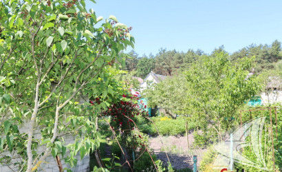 Купить дачу, Брест, Клейниковский с/с, 4.1 соток. Фото 7