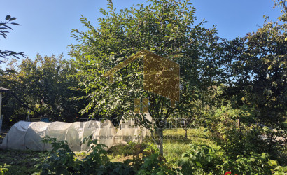 Купить дом, Брест, ул. Пушкинская, 7.1 соток. Фото 17