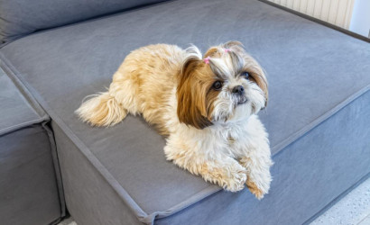 Купить 2-комнатную квартиру, Копище, Николая Камова ул., 1. Фото 32