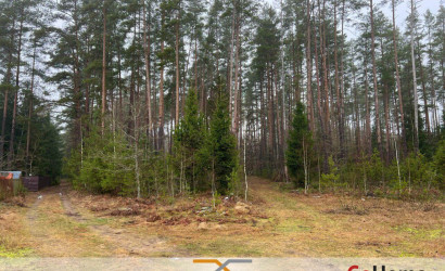 Купить дом в деревне, Сосновый, 10.34 соток. Фото 39