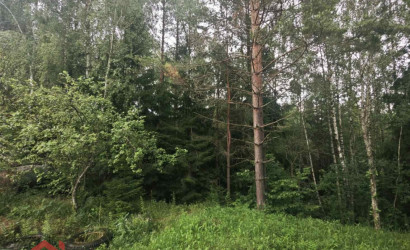 Купить участок, Мончаки, Лесная, 15 соток. Фото 16