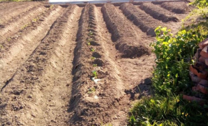 Купить дом, Холомерье, Восточная, 6, 17.96 соток. Фото 17