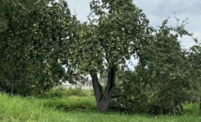 Купить участок, Медведня, Луговая ул., 21, 16.92 соток. Фото 7
