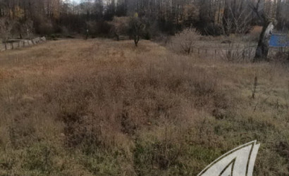 Купить дом в деревне, Горошковка 1, Каменюкский с/с, 25 соток. Фото 27