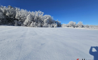 Купить участок, Чачково, 18 соток. Фото 9
