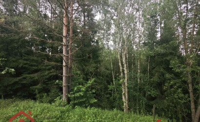 Купить участок, Мончаки, Лесная, 15 соток. Фото 6